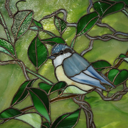 「静寂」ゴジュウカラ・ステンドグラス・鳥・パネル 7枚目の画像