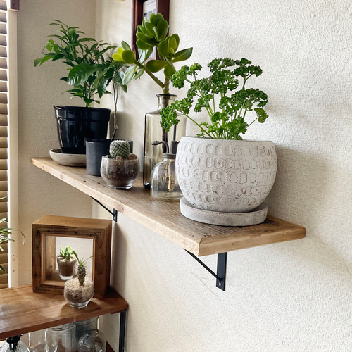 植物ラック ikoku (アイアンウォールシェルフ 植物棚 (賃貸の 植物ラック ikoku (アイアンウォールシェルフ 植物棚 (賃貸の