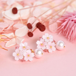 桜とパールの耳飾り✴︎ 2枚目の画像