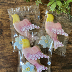 【3袋セット】鳥さんのオーガニックアイシングクッキー(ピンク同色) 2枚目の画像