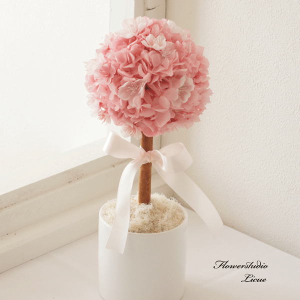 まんまる桜のトピアリー　プリザーブドフラワー