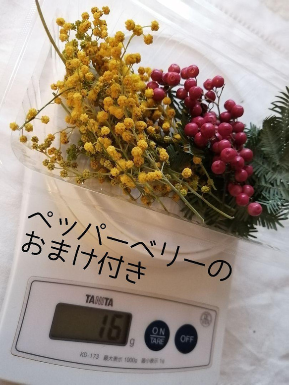 【再販です！】ミモザのドライフラワー花材 ペッパーベリーのおまけ付き 1枚目の画像