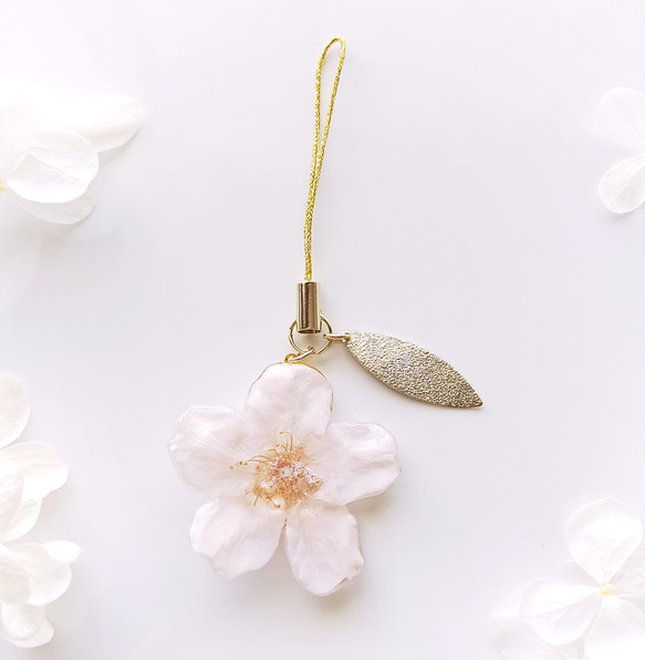 【受注制作】Everpink Sakura. 本物のお花　ソメイヨシノ  桜とゴールドリーフのストラップ/根付 5枚目の画像