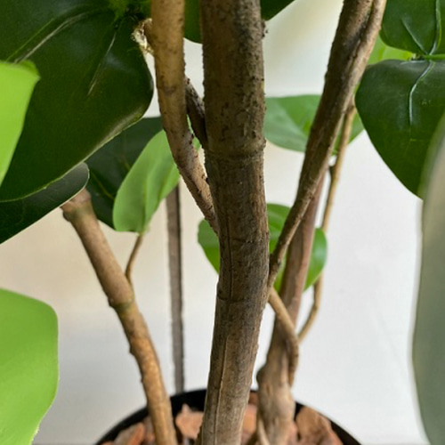 光触媒　人工観葉植物　ウォールグリーン　フェイクグリーン　インディアンアーモンド 光触媒人工観葉植物ウォールグリーンフェイクグリーンインディアン