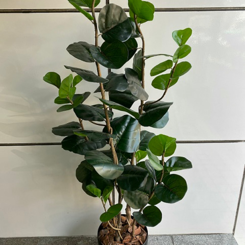 光触媒　人工観葉植物　ウォールグリーン　フェイクグリーン　グランドファレノ 光触媒 人工観葉植物 ウォールグリーン フェイクグリーン グランド