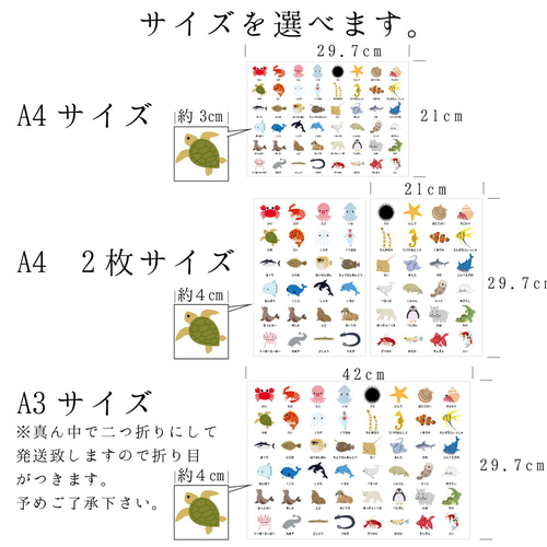 水辺の生き物知育ポスター(水族館の生き物ポスター) その他