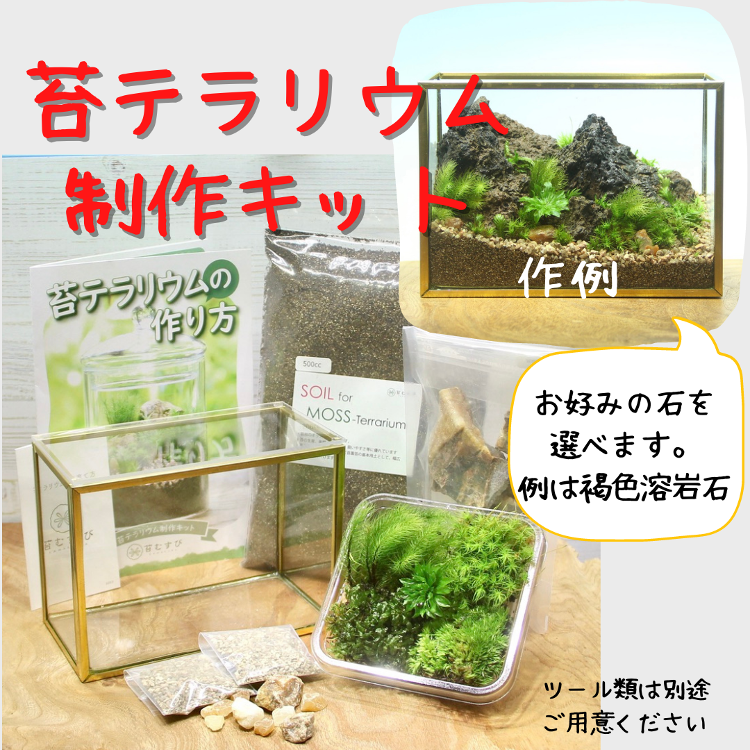 【メタルフレームL type】苔テラリウム制作キット-《苔テラリウム・コケリウム》