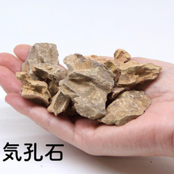 【バルーン type】苔テラリウム制作キット-《苔テラリウム・コケリウム》 7枚目の画像