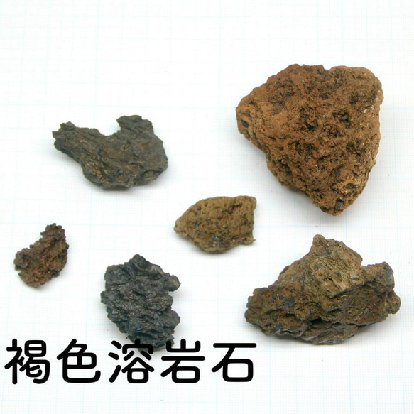 【バルーン type】苔テラリウム制作キット-《苔テラリウム・コケリウム》 4枚目の画像