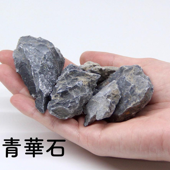 【バルーン type】苔テラリウム制作キット-《苔テラリウム・コケリウム》 8枚目の画像