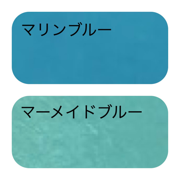 選べる10色！牛ヌメ革のシンプルパスケース　定期入れ　 10枚目の画像