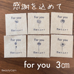 3センチスクエア ミニ フォーユー 感謝を込めて ボタニカル