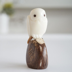 91152d4b4654a0afb709d437052843