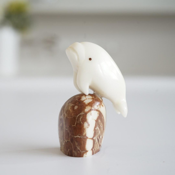 タグアナッツの飾り・ナンタケットバスケット その他置物 Nantucket