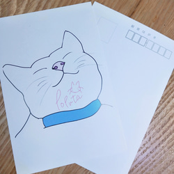 ｢猫たちの日常｣ ポストカードセット 2枚目の画像