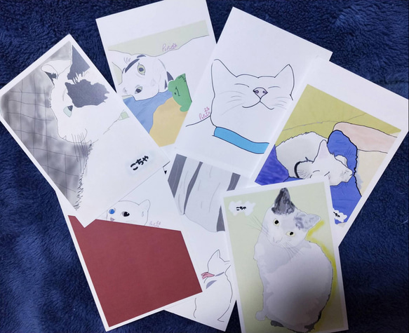 ｢猫たちの日常｣ ポストカードセット 1枚目の画像