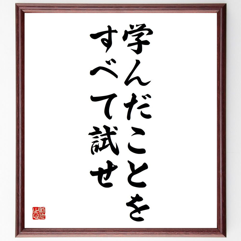 名言「学んだことをすべて試せ」手書き書道色紙額／受注後の毛筆直筆（Y4213）