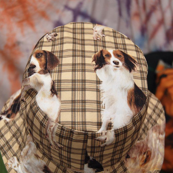 狗紋格子格紋棉質帽子 第6張的照片