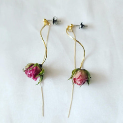 本物♡薔薇のイヤーアクセサリー③ 2枚目の画像