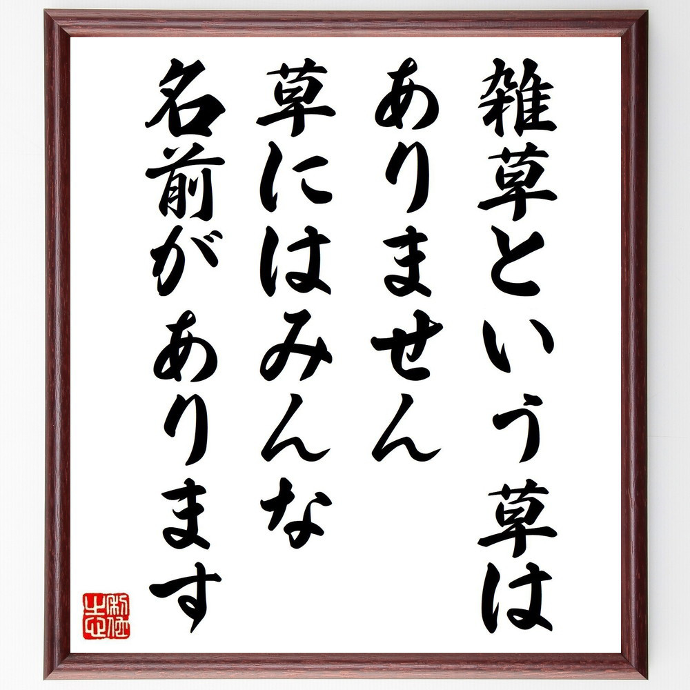 名言「雑草という草はありません、草にはみんな名前があります」手書き書道色紙額／受注後の毛筆直筆（Y4404）