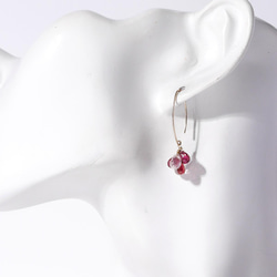 # 906_RD 14kgf 櫻花粉玫瑰石英和紅榴石石榴石橢圓形鉤形耳環 第5張的照片