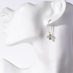 # 906_GR 14kgf 櫻花粉玫瑰石英和綠色磷灰石橢圓形鉤形耳環 第5張的照片