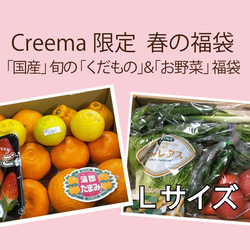 Creema春の福袋2022　「国産」旬の「くだもの」&「お野菜」の福袋！！Lサイズ 1枚目の画像