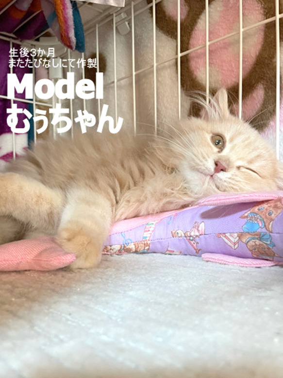 パステルピンクのイルカさんキッカー＊猫ちゃんおもちゃ 5枚目の画像