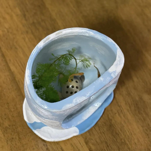 メダカが青空を飛ぶ姿を眺められる陶器のガラス窓付き水槽&青空