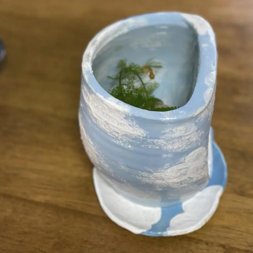 メダカが青空を飛ぶ姿を眺められる陶器のガラス窓付き水槽&青空