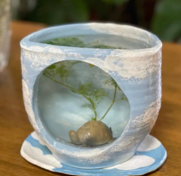 メダカが青空を飛ぶ姿を眺められる陶器のガラス窓付き水槽&青空