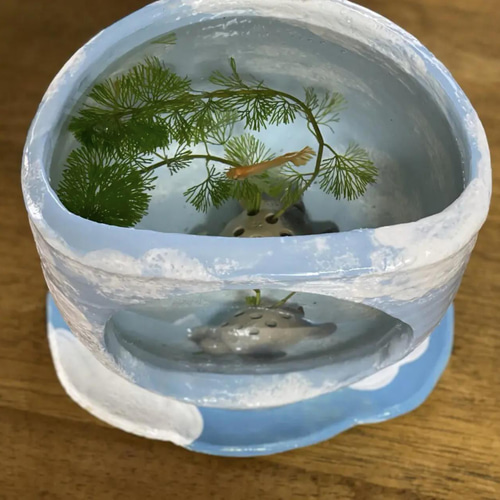 鉢　水漏れ　メダカ　水槽　陶器 メダカが青空を飛ぶ姿を眺められる陶器のガラス窓付き水槽&青空