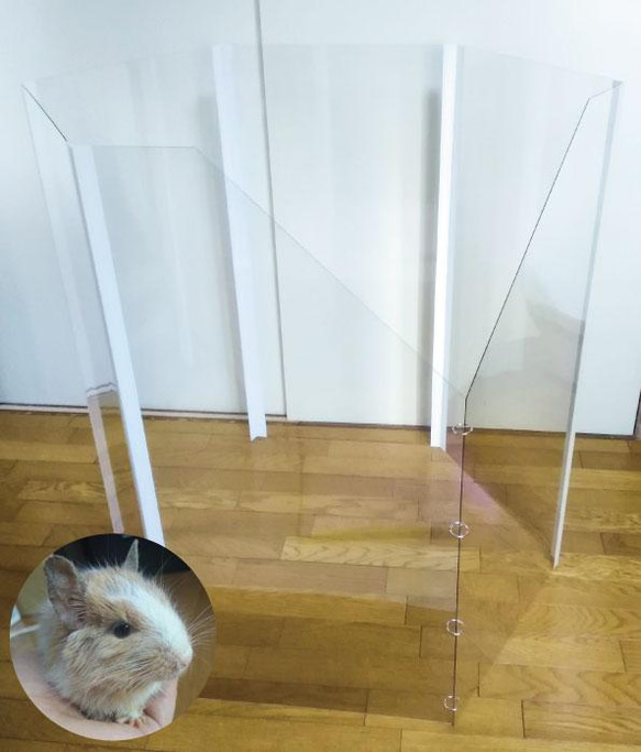 八齒鼠龍貓透明圓加法（約高91cm x 寬45cm）房間圍欄 第5張的照片
