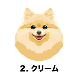 【 ポメラニアン 毛色6色左下デザイン】スマホケース　クリアソフトケース　うちの子　犬　 iPhone&Android 3枚目の画像