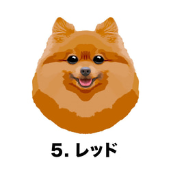 【 ポメラニアン 毛色6色横向きデザイン】スマホケース　クリアソフトケース　うちの子　犬　 iPhone&Android 6枚目の画像