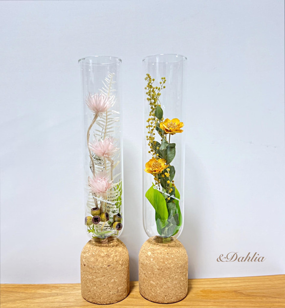 おしゃれなコルク台座のボトル付き/ドライフラワー&花器 一輪挿し