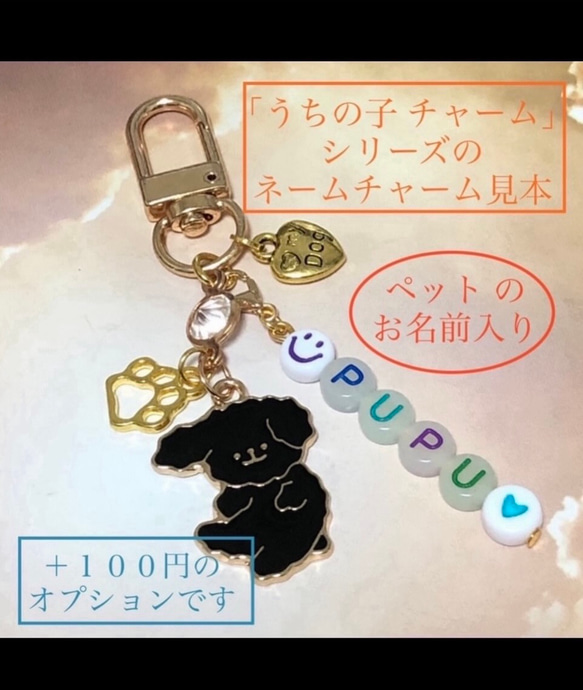 【 送料無料 】♡〈　Spring charm set  〉ブルー系カラーチャーム3点セット♡猫 蝶 桜の花びら 11枚目の画像