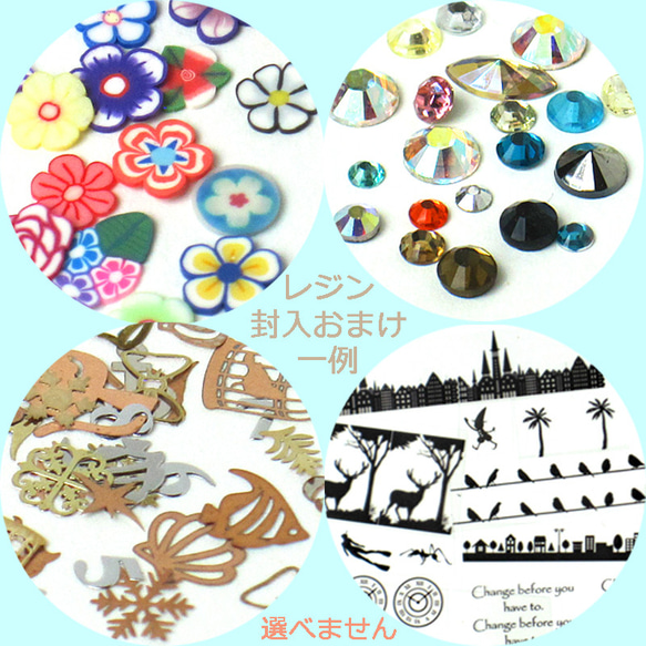 ★値引き★ まるみえ福袋 海もの レジン用アソート 封入パーツ モールド・封入おまけ付き　レジン枠 レジン チャーム 10枚目の画像