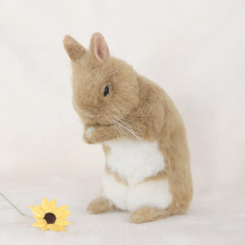 お祈りをしているうさぎさん ネザーランドドワーフ オレンジ 羊毛