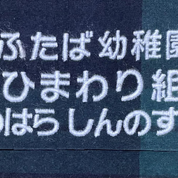 通園3点セット(レッスンバック、体操着袋、上靴袋) ネイビー×グリーンブラックウォッチに昆虫類柄  お名前の刺繍入れ 3枚目の画像