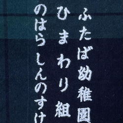 通園3点セット(レッスンバック、体操着袋、上靴袋) ネイビー×グリーンブラックウォッチに昆虫類柄  お名前の刺繍入れ 4枚目の画像