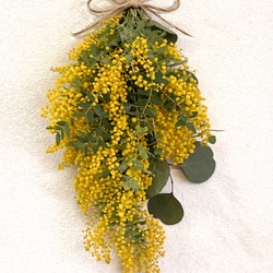 早早割】2026予約 春の庭からフレッシュミモザとユーカリのリース