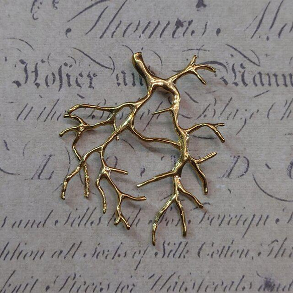 珊瑚2個 高知県産 珊瑚 2つ 189g 高知県産 珊瑚 2つ