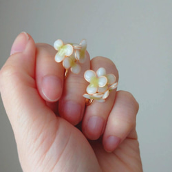 【春のお花】ホワイト×グリーンのお花 2枚目の画像