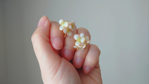 【春のお花】ホワイト×グリーンのお花 2枚目の画像