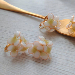 【春のお花】ホワイト×グリーンのお花 1枚目の画像