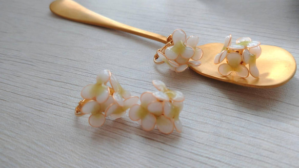 【春のお花】ホワイト×グリーンのお花 1枚目の画像