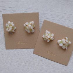 【春のお花】ホワイト×グリーンのお花 3枚目の画像