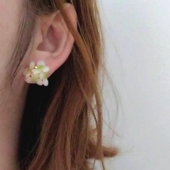 【春のお花】ホワイト×グリーンのお花 4枚目の画像