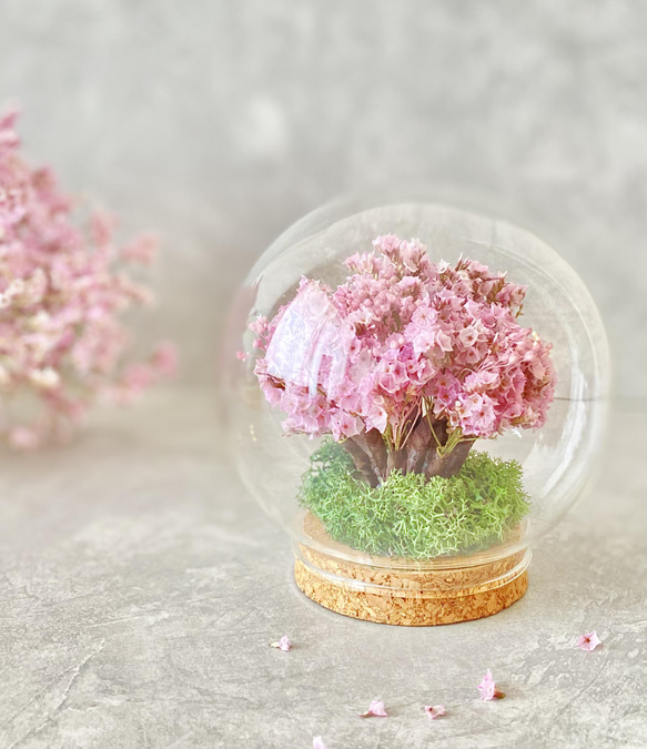 桜の木のガラスドーム 2枚目の画像